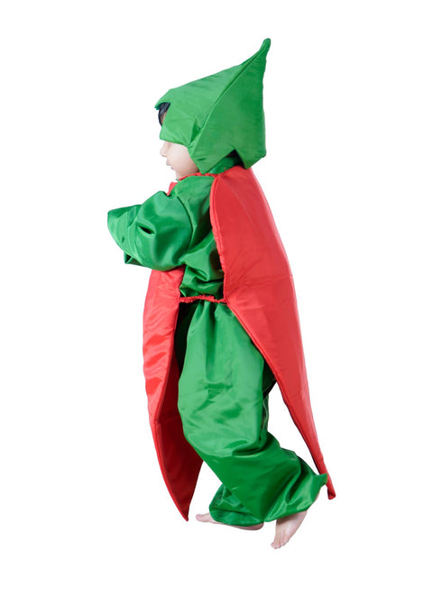 BookMyCostume Carrot Gajar Vegetable Kids Fancy Dress Costume